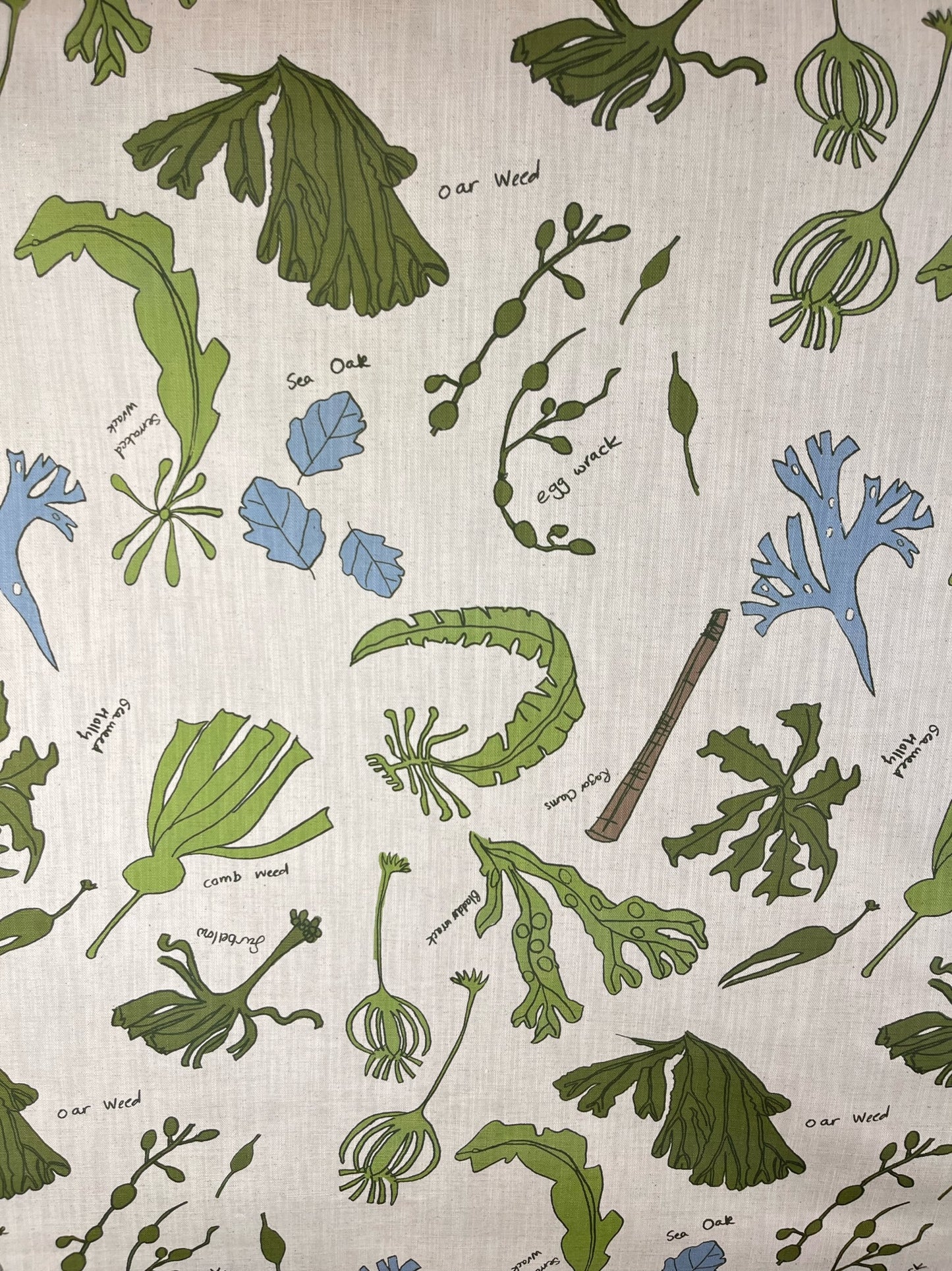 Sea Flora Lampshade