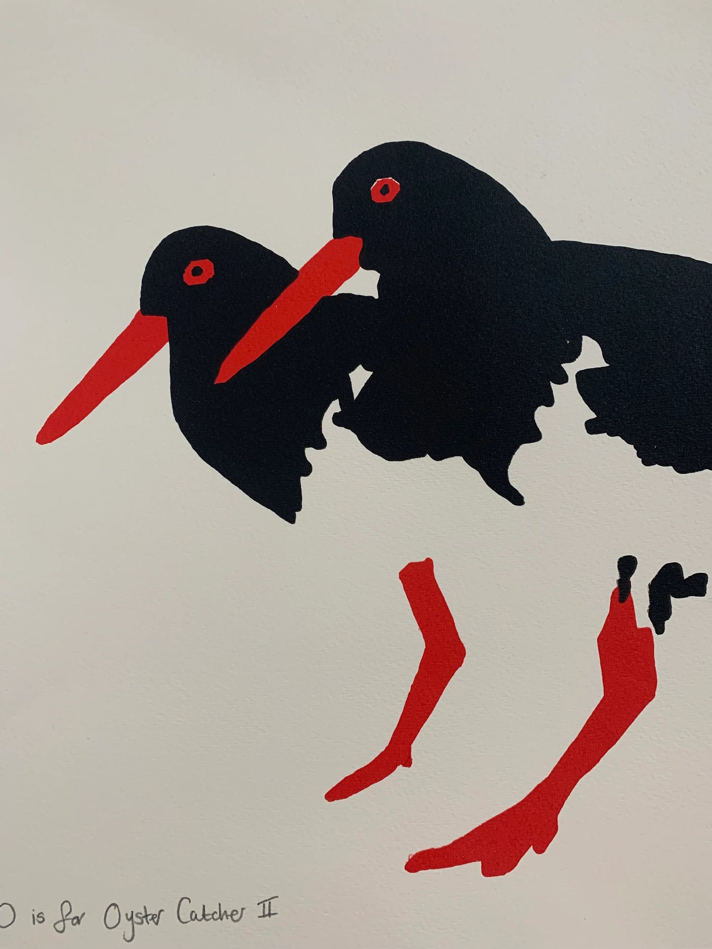 O is for Oyster Catcher 2
