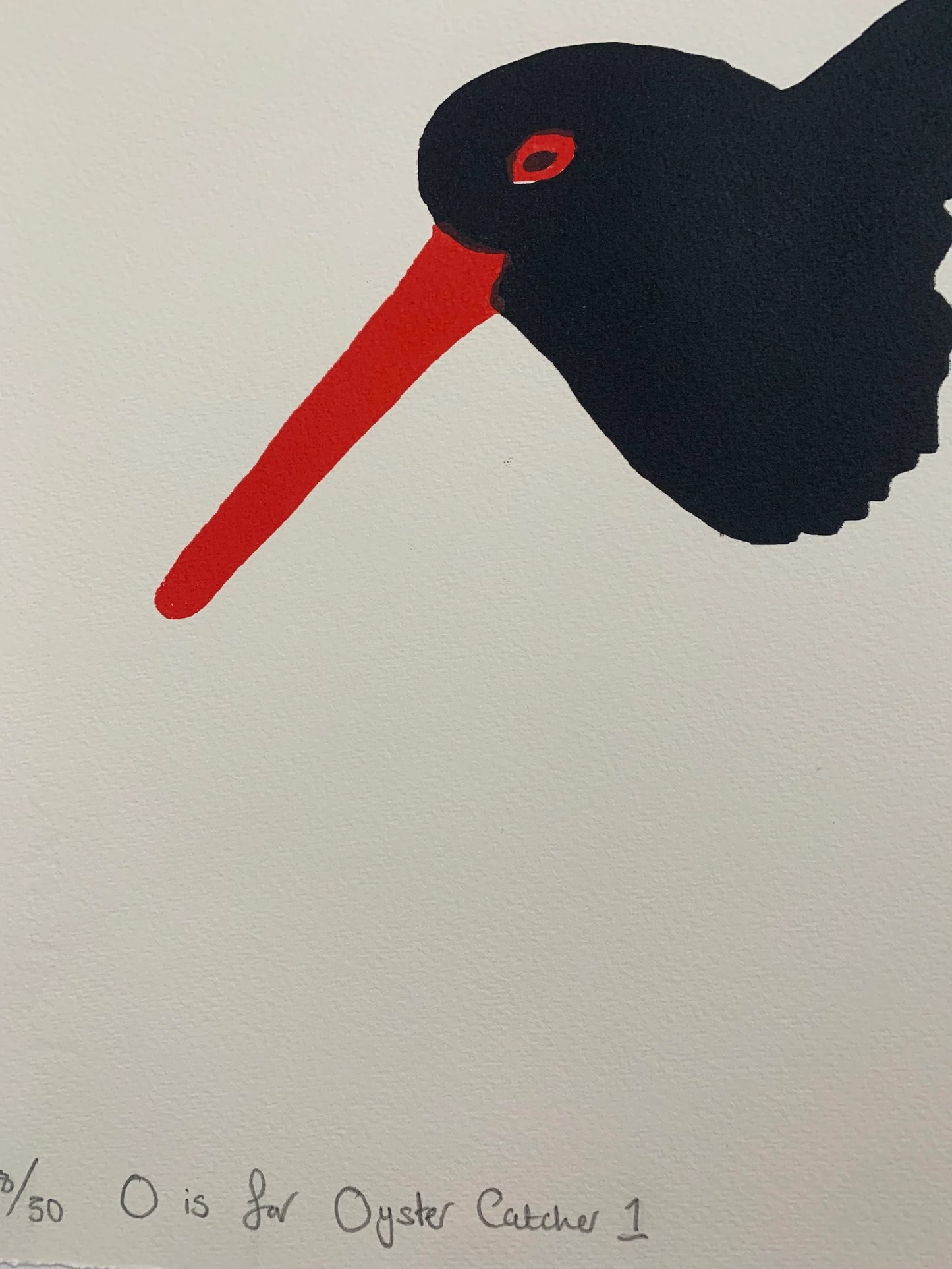 O is for Oyster Catcher 1