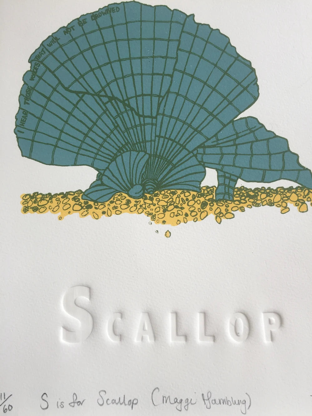 S is for Scallop