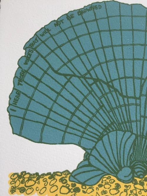 S is for Scallop
