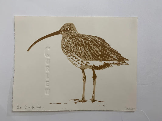 C is for Curlew