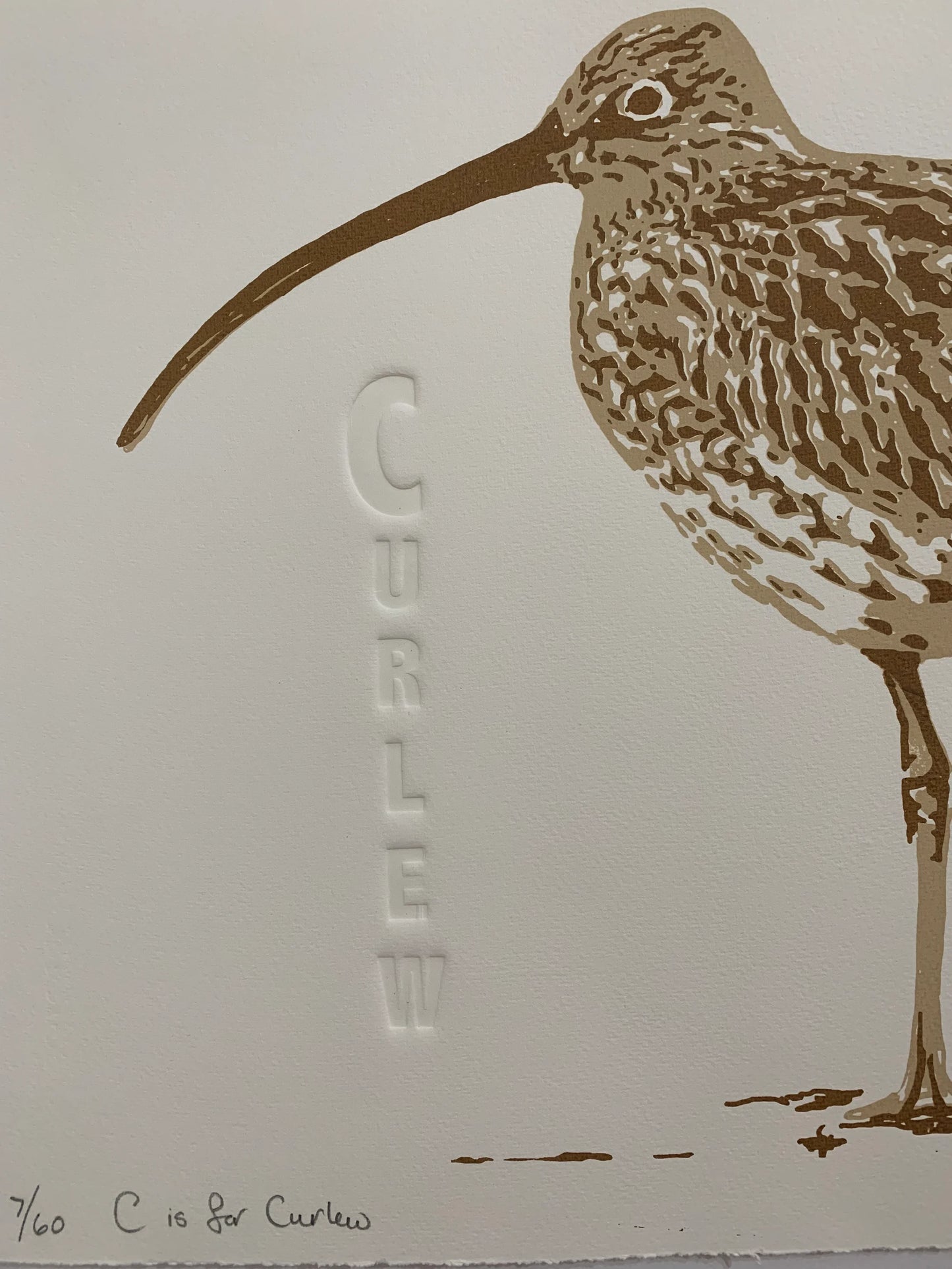 C is for Curlew
