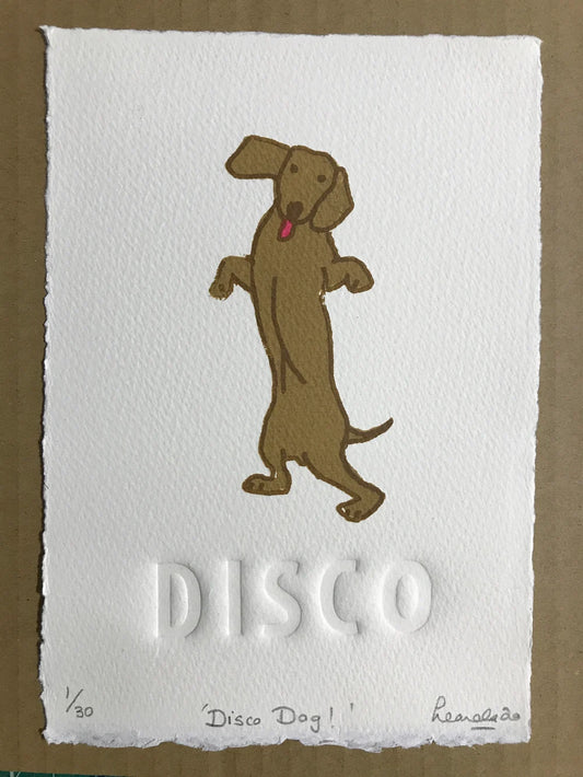 Disco Dog